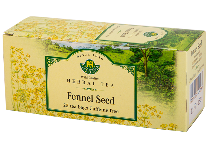 Fennel (Foeniculum vulgare)