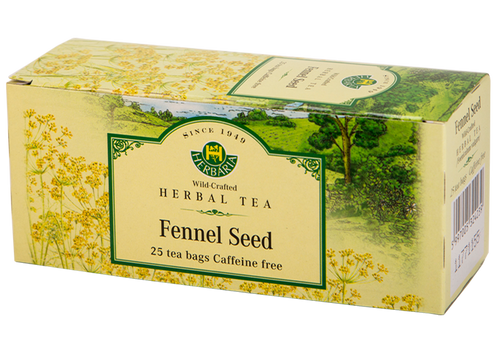Fennel (Foeniculum vulgare)