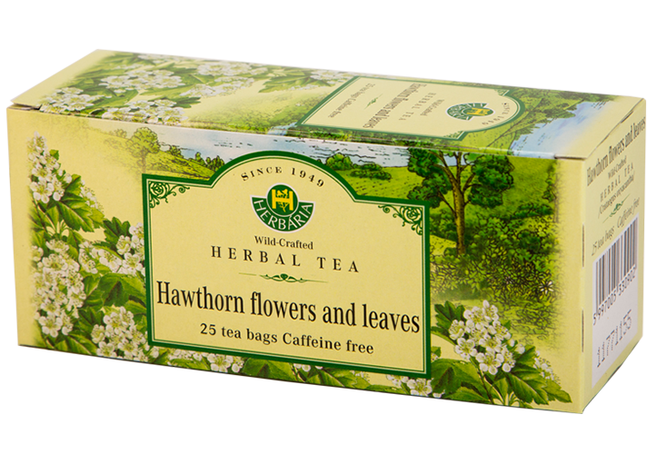 Hawthorne (Crataegus oxyacantha)