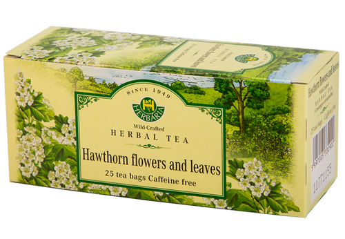 Hawthorne (Crataegus oxyacantha)