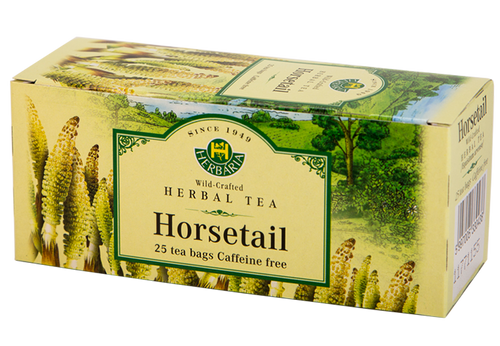 Horsetail (Equisetum arvense)