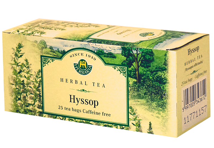 Hyssop (Hyssopus Officinalis)