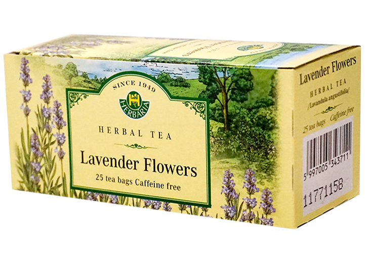 Lavender (Lavandula angustifolia)