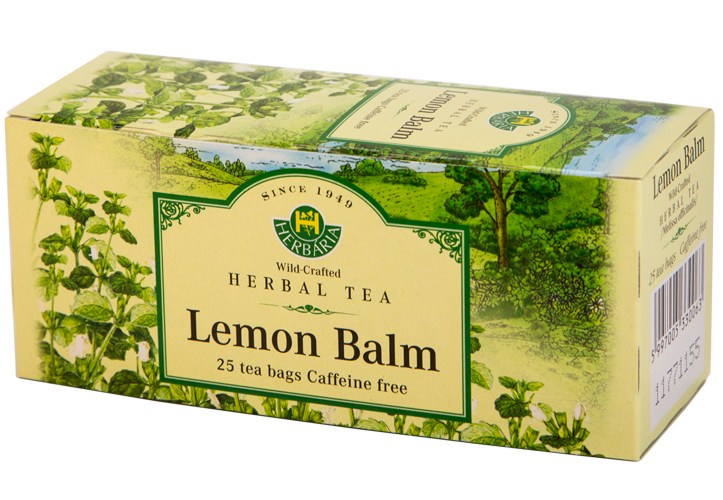 Lemon balm (Melissa officinalis)