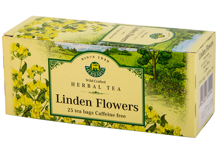 Linden Flower (Lilia europaea)