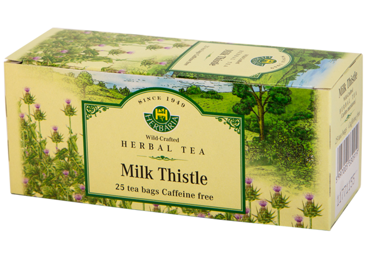 Milk Thistle (Cardus marianus)