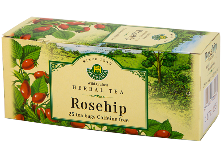 Rosehip (Rosa species)