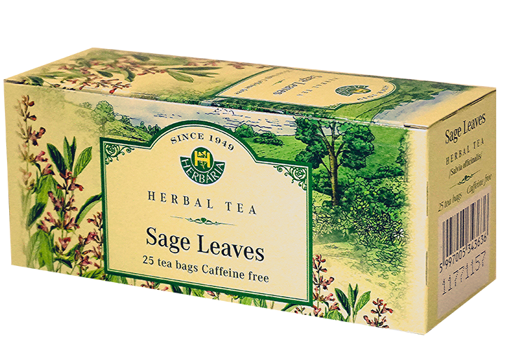 Sage (Salvia Officinalis)