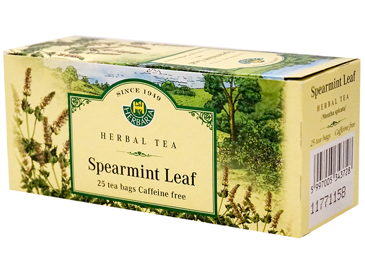 Spearmint (Mentha Spicata)