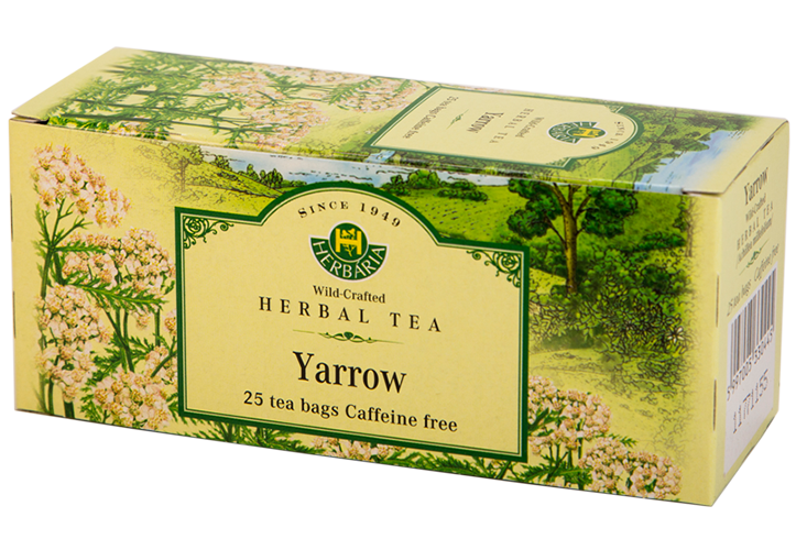 Yarrow (Achillea millefolium)