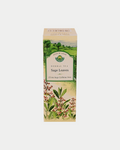Sage (Salvia Officinalis)