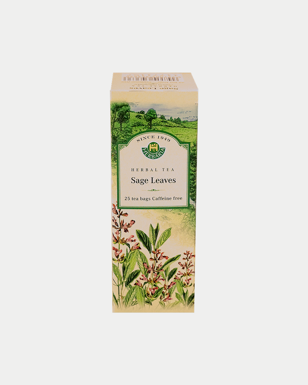 Sage (Salvia Officinalis)