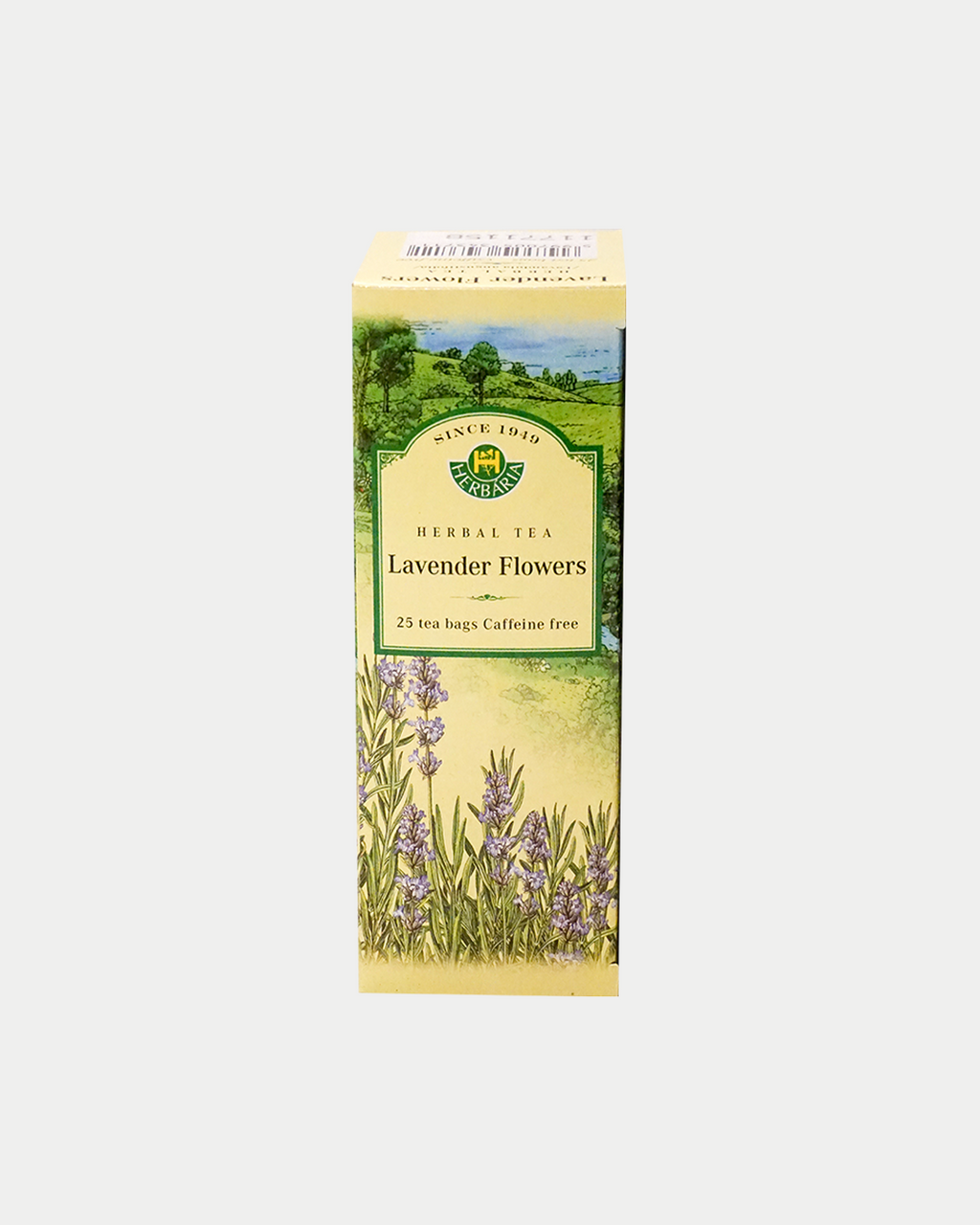 Lavender (Lavandula angustifolia)