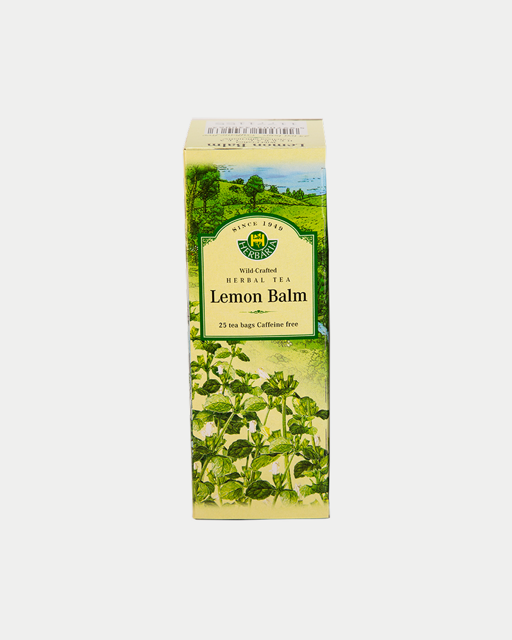 Lemon balm (Melissa officinalis)
