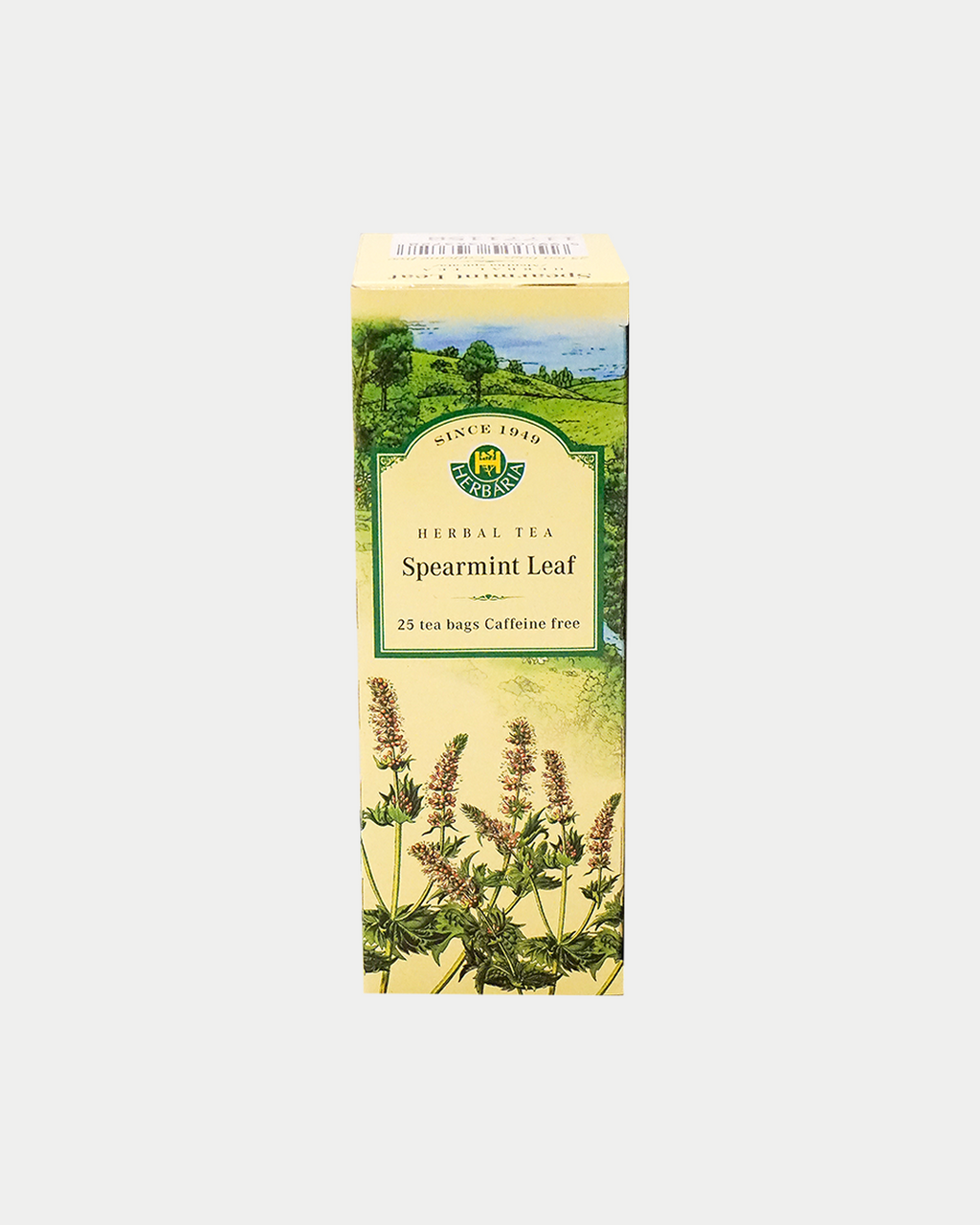 Spearmint (Mentha Spicata)