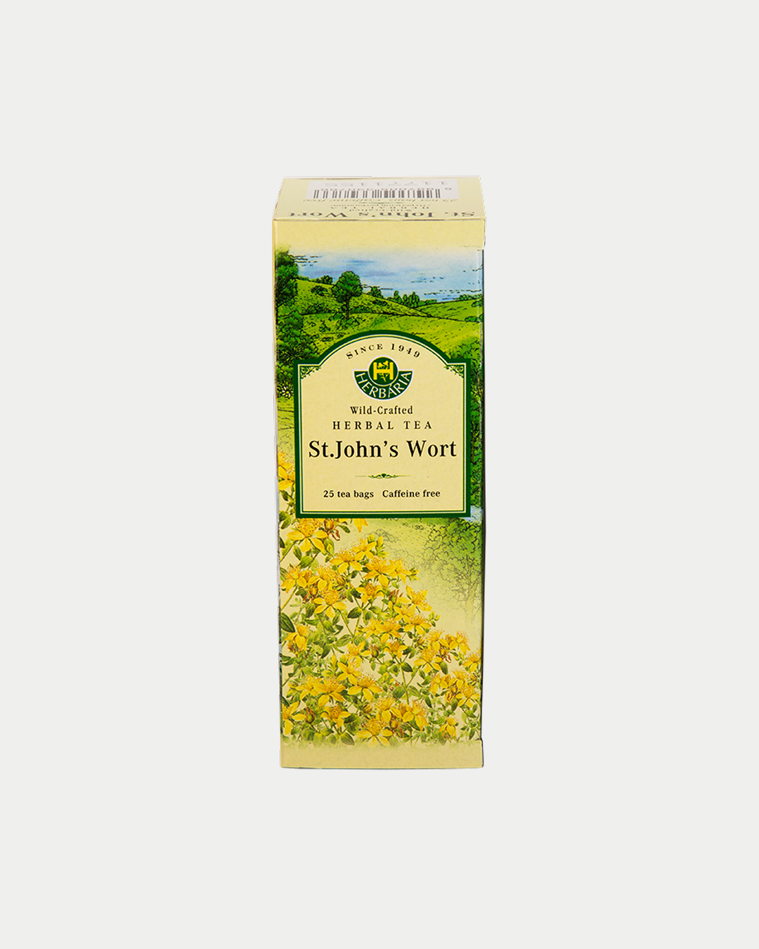 St. John's Wort (Hypericum perforatum)