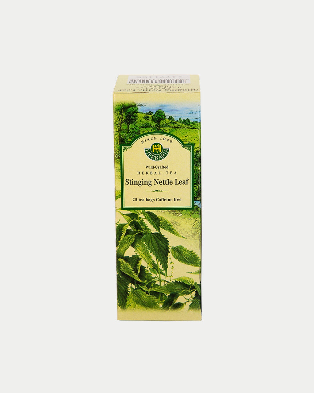 Stinging Nettle (Urtica dioica)