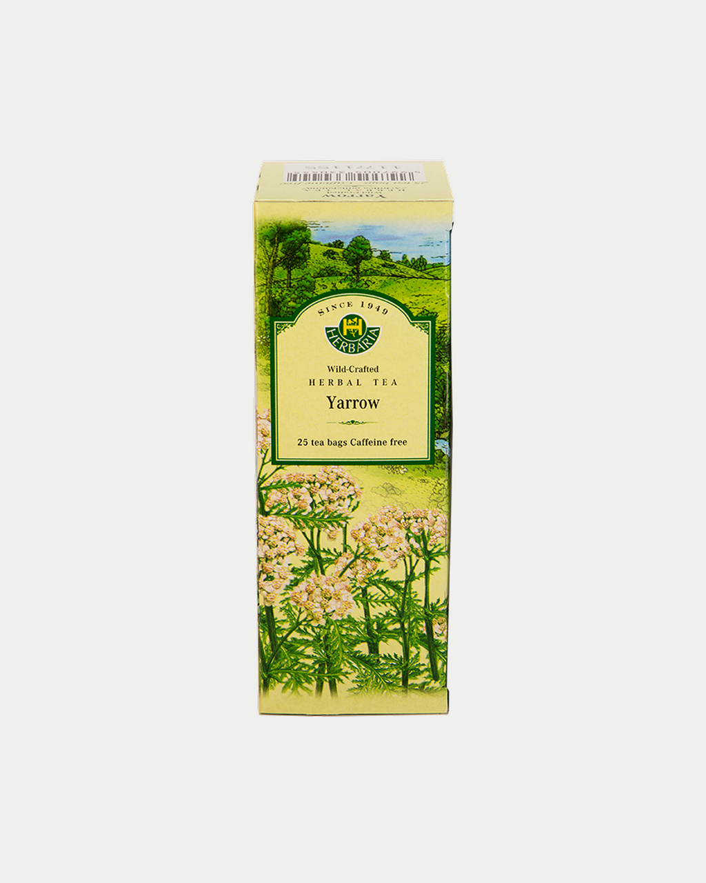 Yarrow (Achillea millefolium)