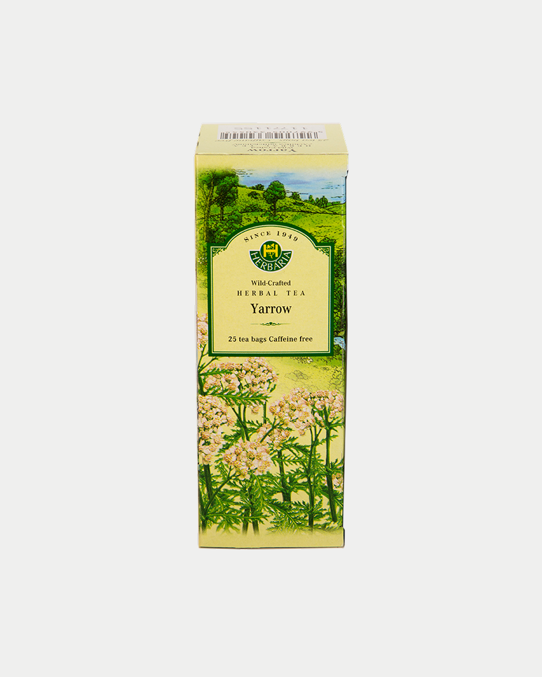 Yarrow (Achillea millefolium)