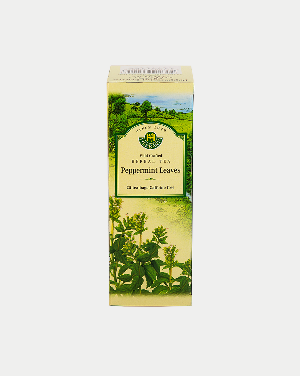 Peppermint (Mentha piperita)